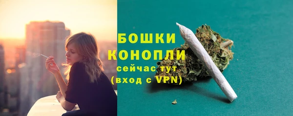 бошки Лагань